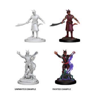 Male Tiefling Warlock: Nolzurs Marvelous Unpainted Minis