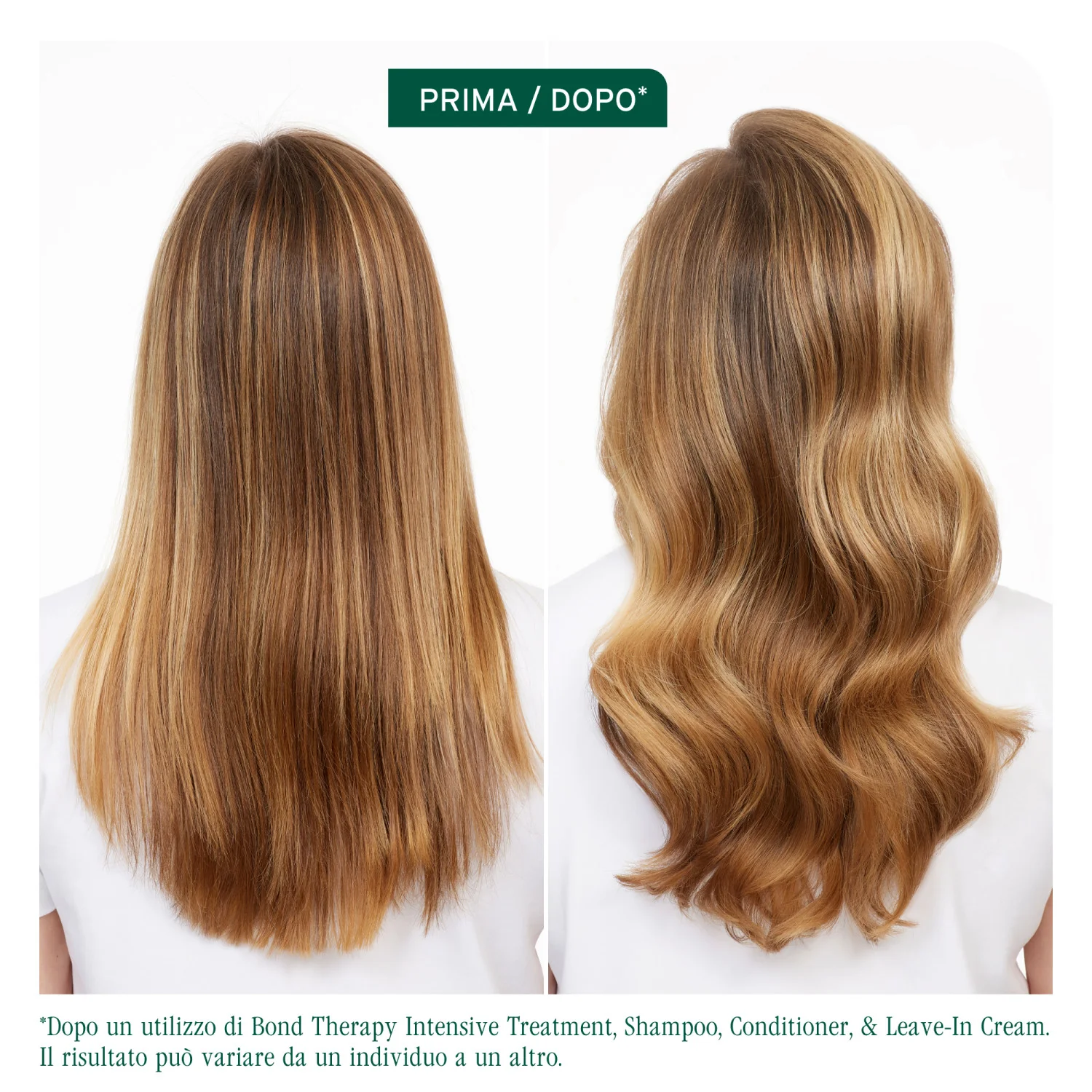 Champú Bond Therapy - Champú fortalecedor, champú nutritivo