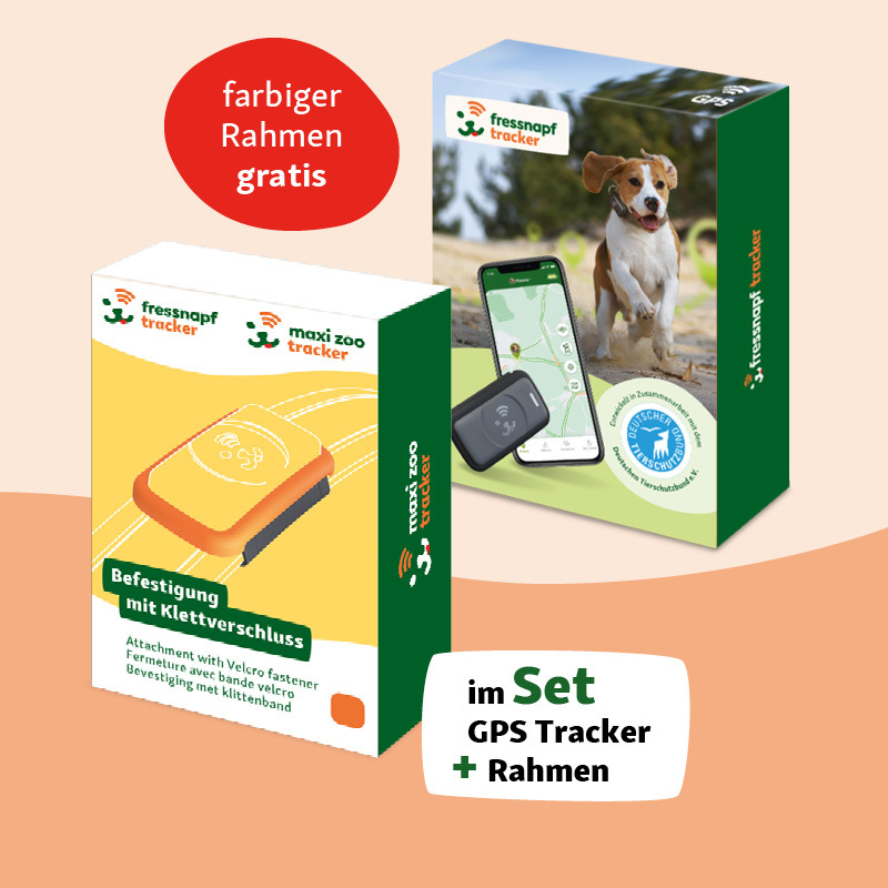 Fressnapf GPS Tracker & Zubehör Fressnapf GPS-Tracker für Hunde orange