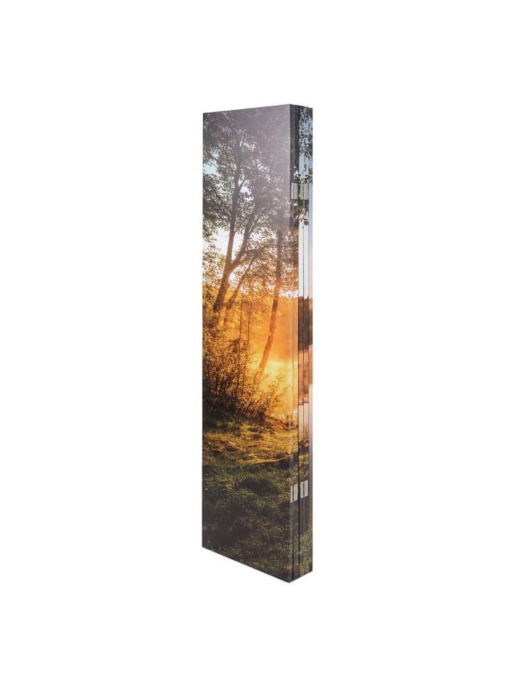 MCW Foto-Paravent mit Schallschutz L55, 180x204cm Waldsee günstig kaufen onesize