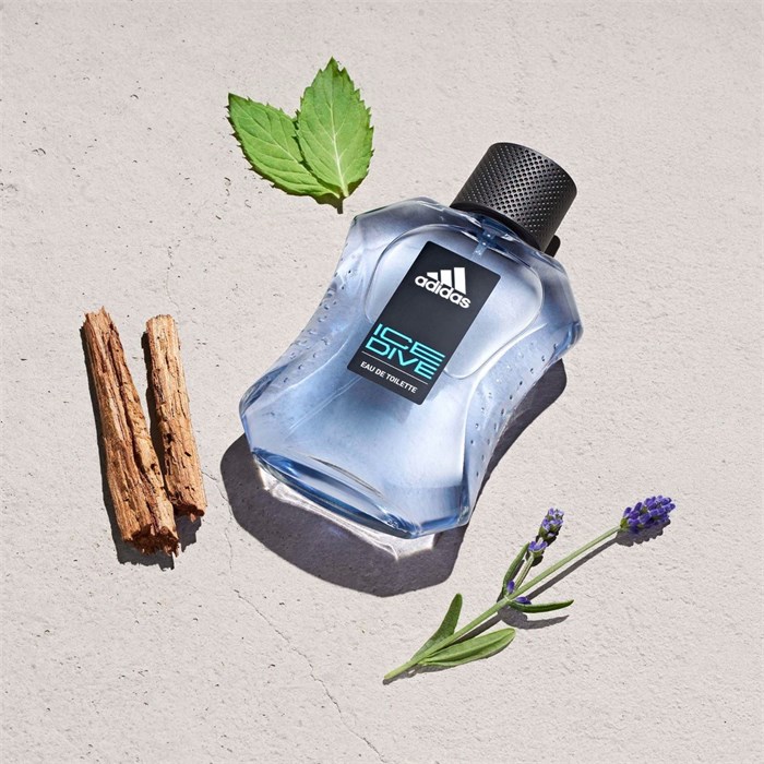 Eau de Toilette Spray