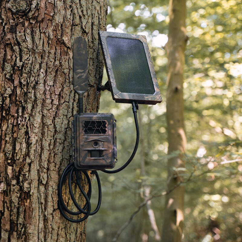 SEISSIGER Wildkamera Special-Cam LTE Supersim-Edition mit Akku