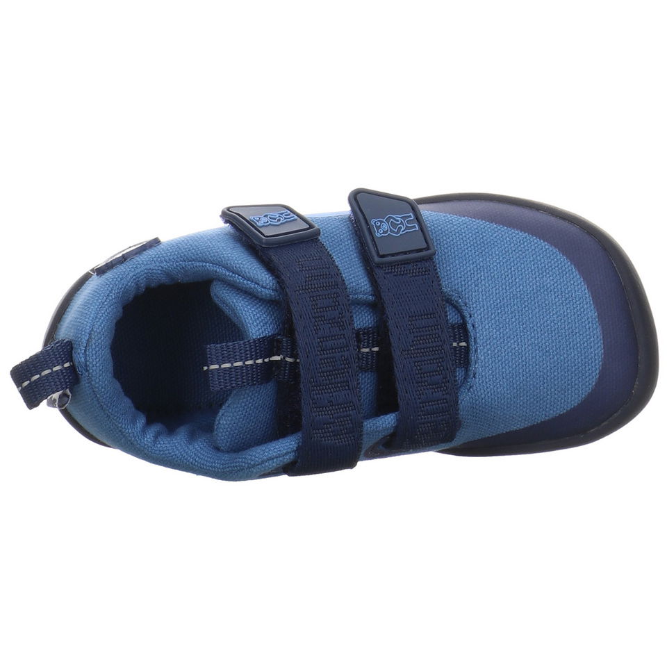 Affenzahn Bär Lucky Cotton Klettschuh