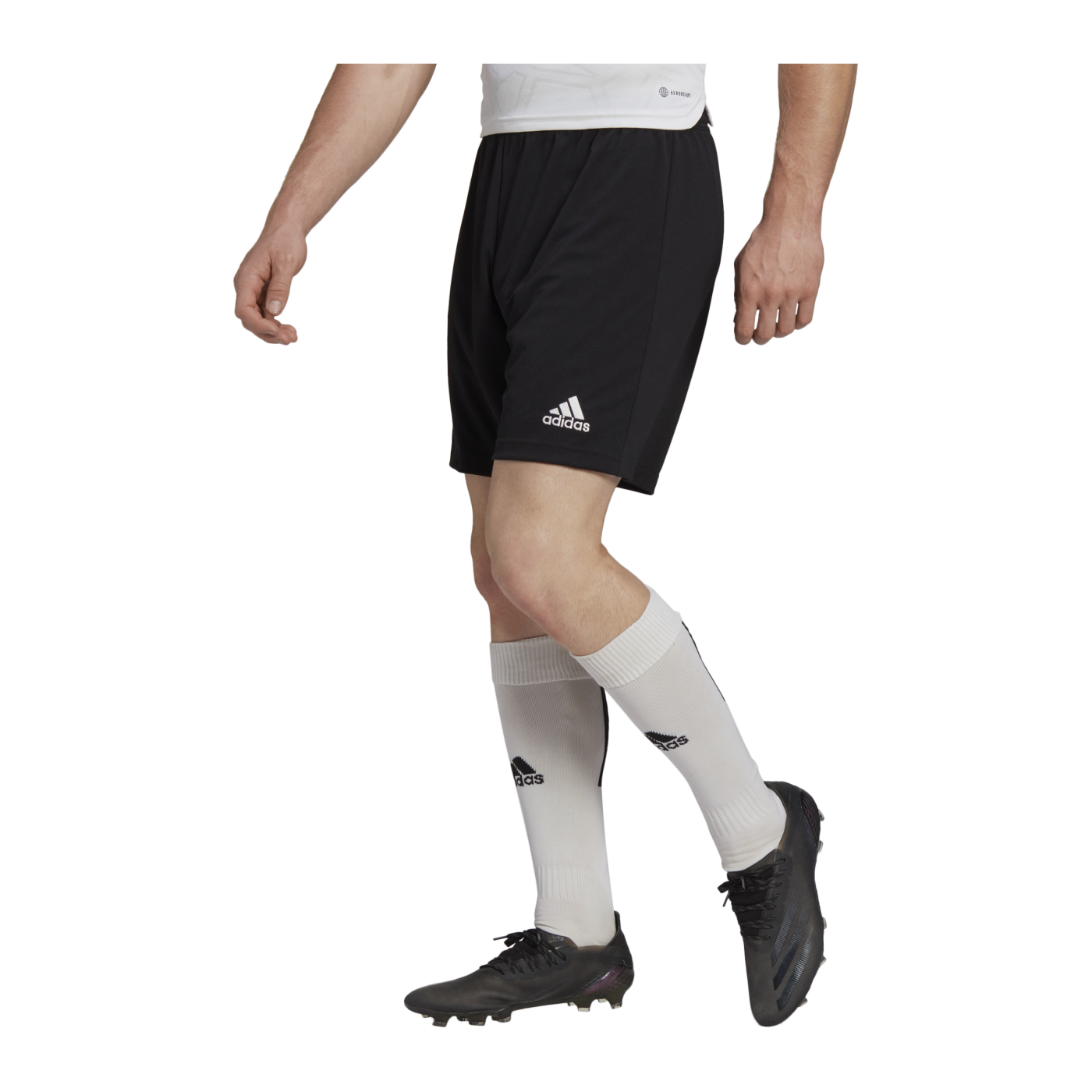adidas Entrada 22 Short Schwarz