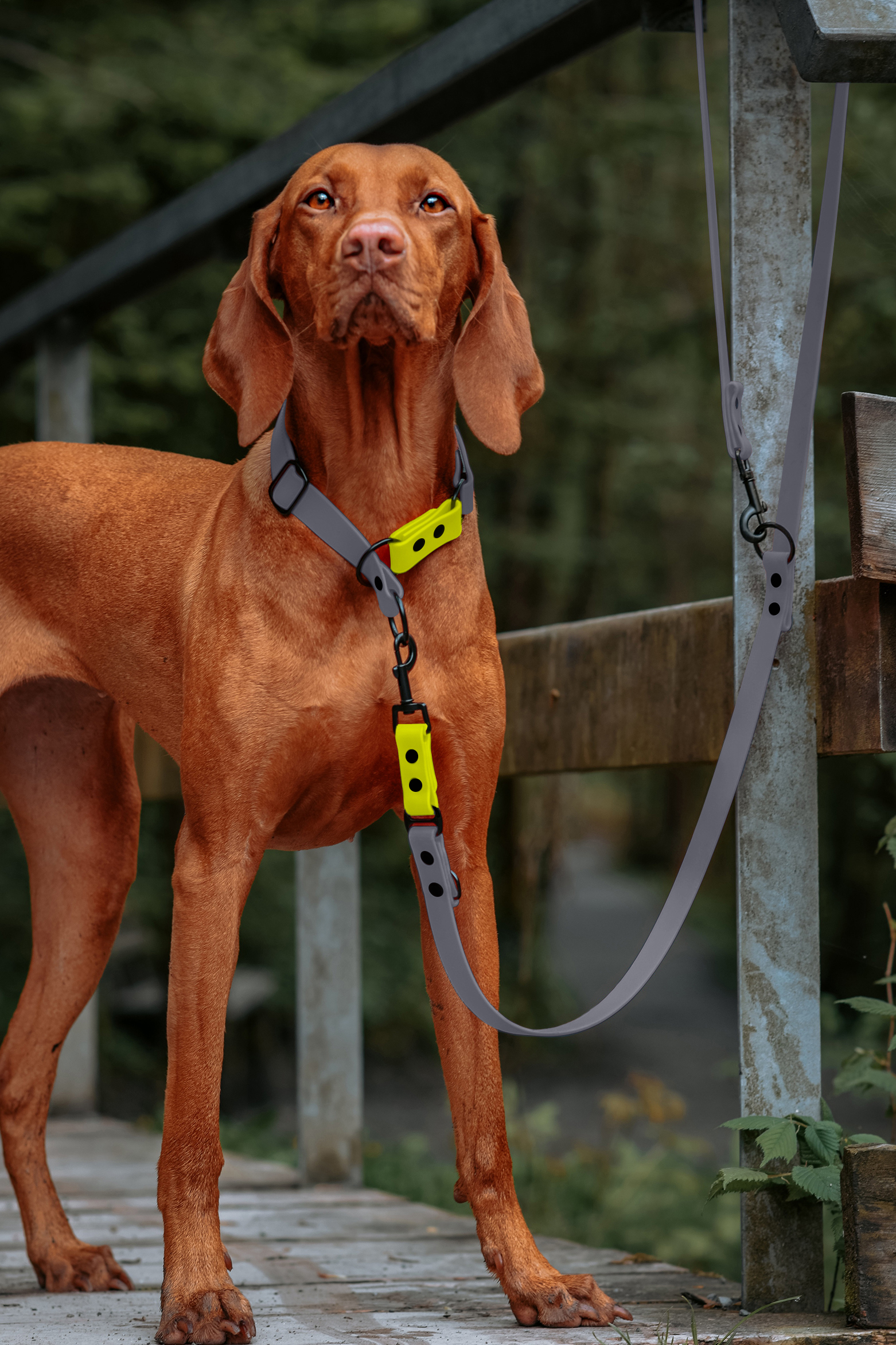 THE DOG IDEA Hundehalsbänder THE DOG IDEA Zugstopp Halsband Grau neon gelb S