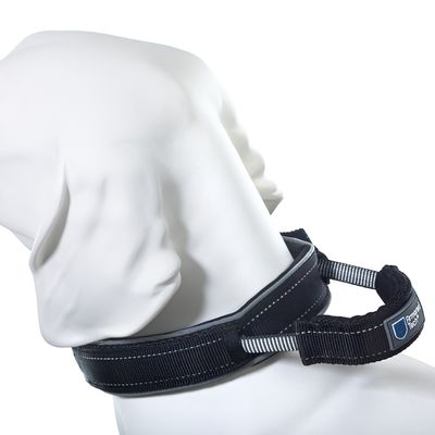 ArmoredTech Dog Control Halsband, schwarz