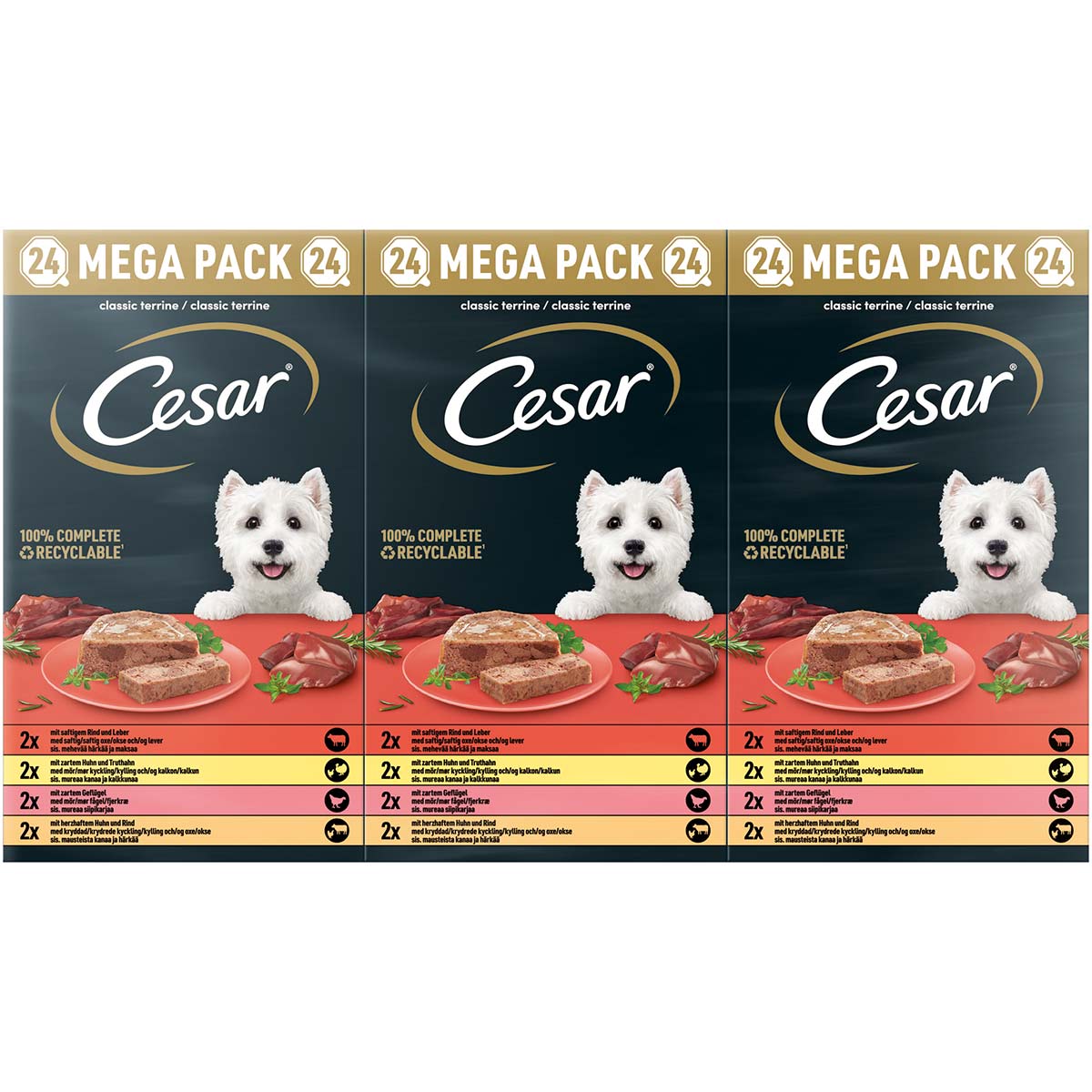 Cesar Klassik-Terrine 4 Varietäten Schale 24x150g bei ZooRoyal