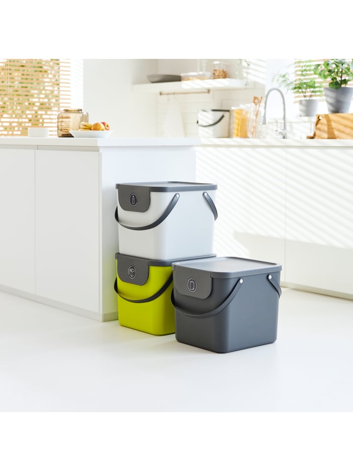 Rotho Albula Mülltrennungssystem 40 l für die Küche in Limette günstig kaufen onesize