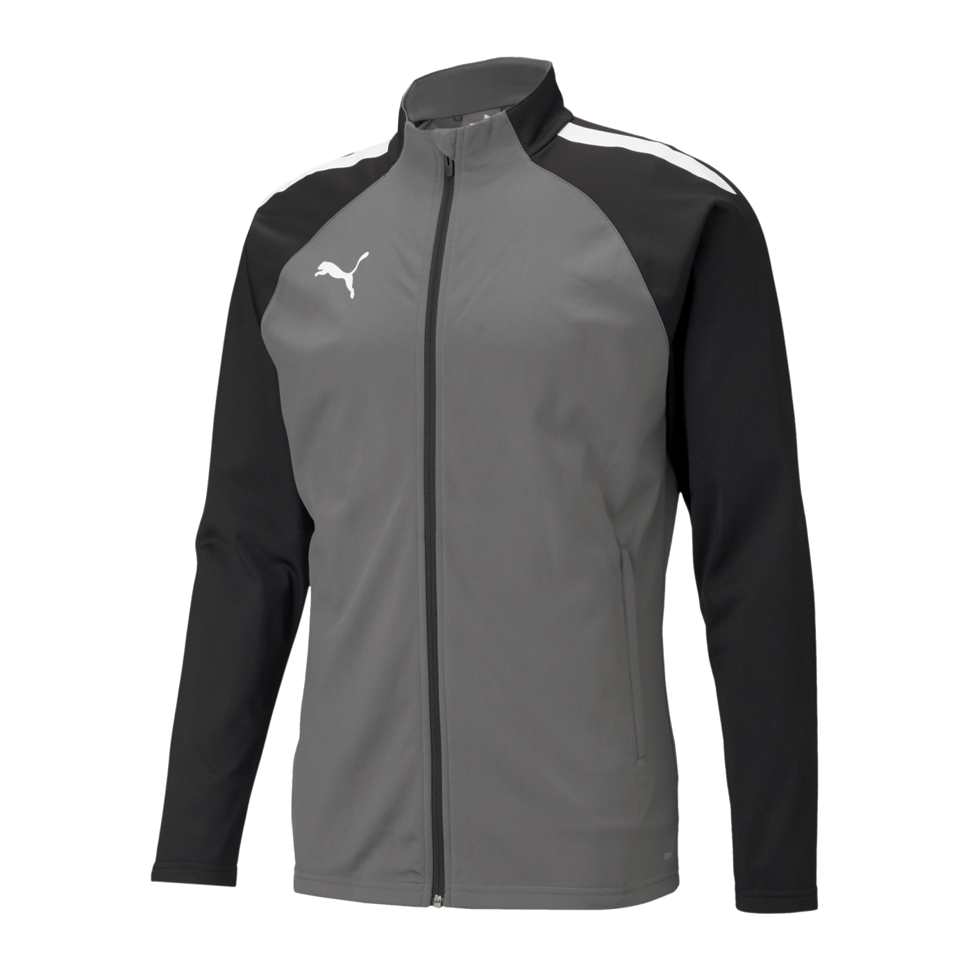 PUMA teamLIGA Trainingsjacke Grau Schwarz F13