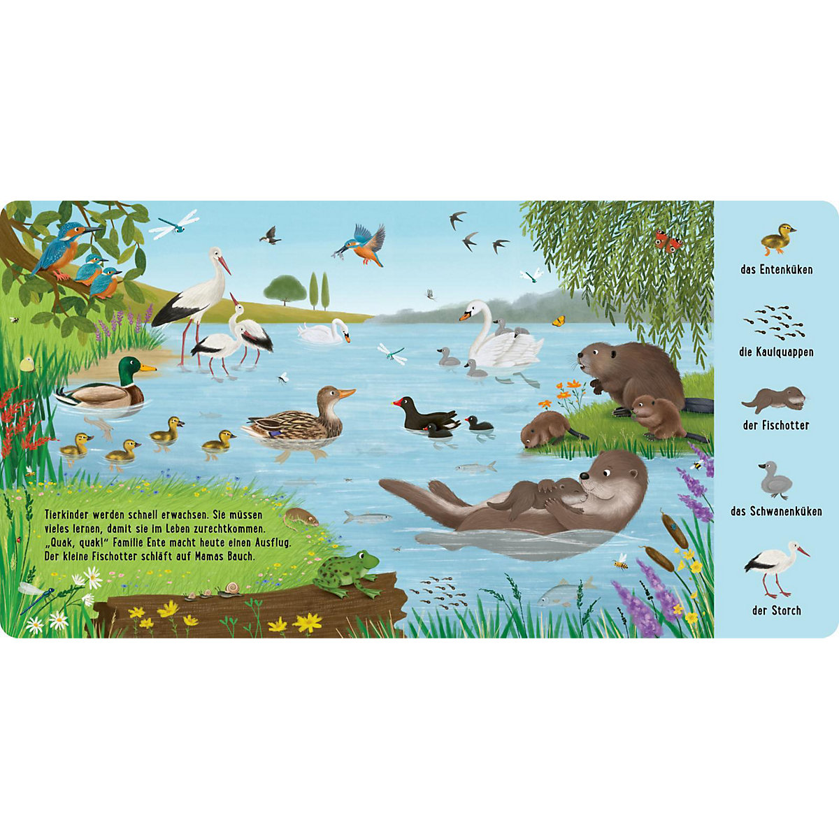 Mein erstes Natur-Wimmelbuch: Bei den Tierkindern