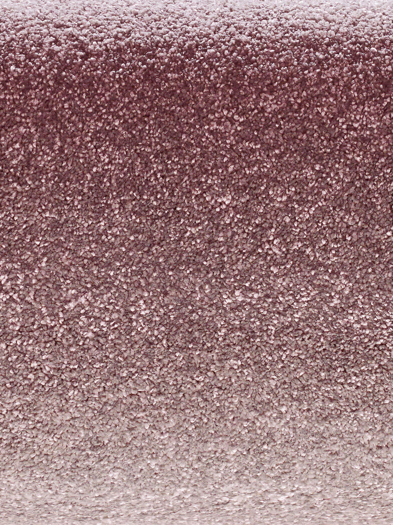 Sovereign Hochflor-Teppich, Lachs