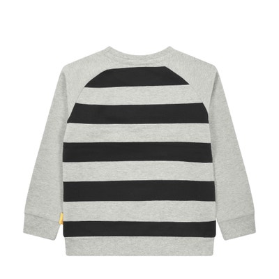 Sweatshirt, dunkelgrau für Jungs