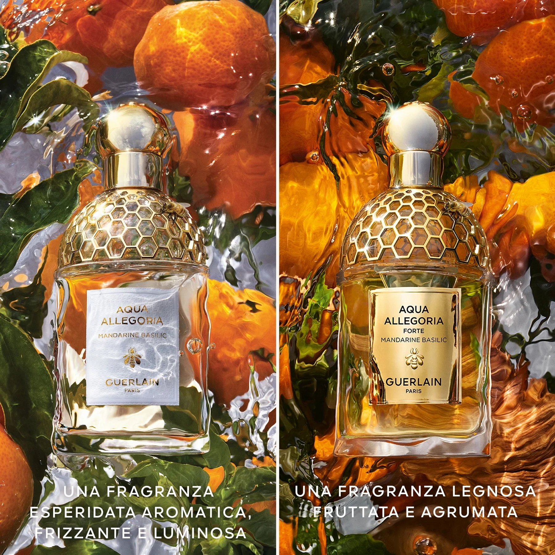 Aqua Allegoria Mandarine Basilic Forte - Eau de Parfum - Eau de Parfum