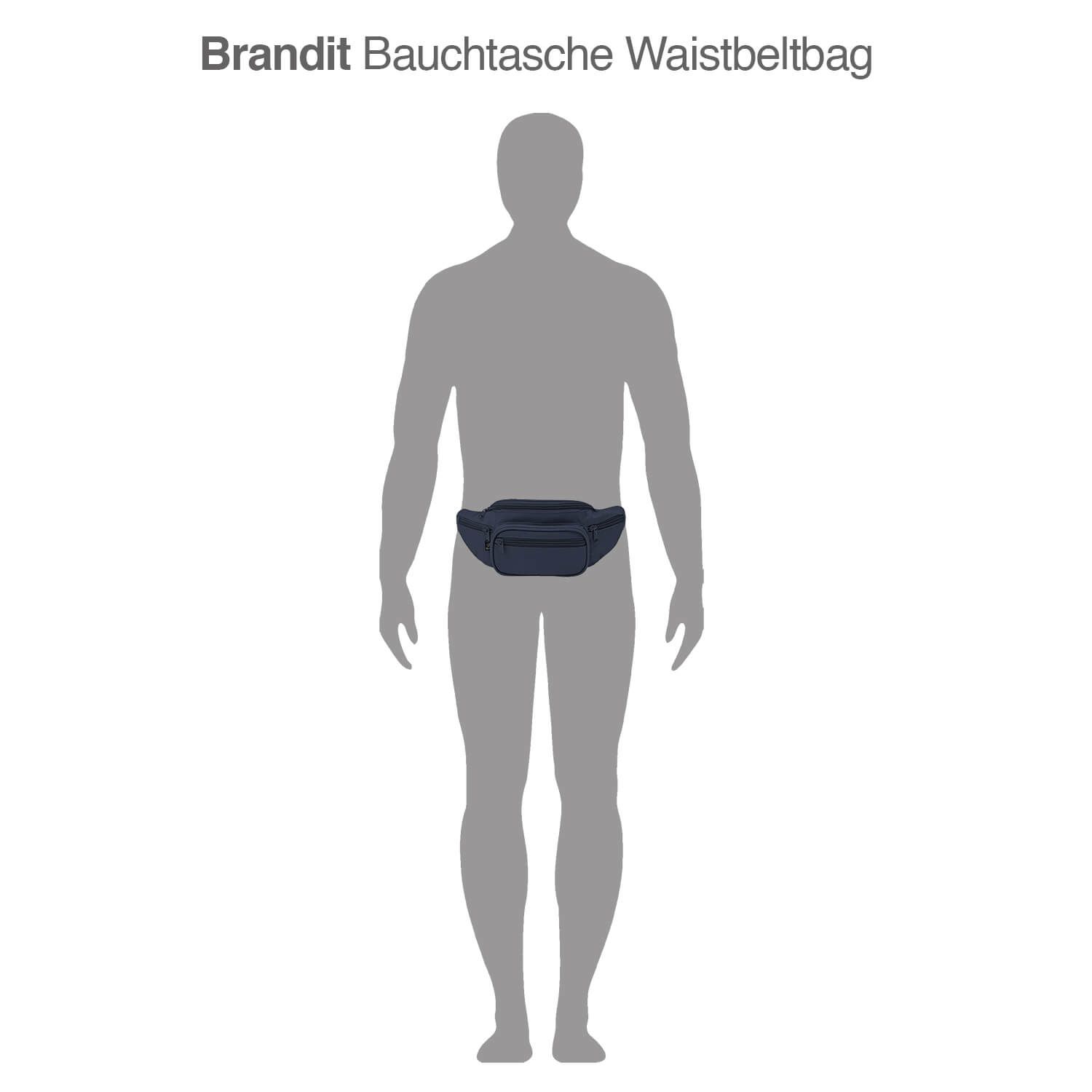 Bauchtasche Waistbeltbag