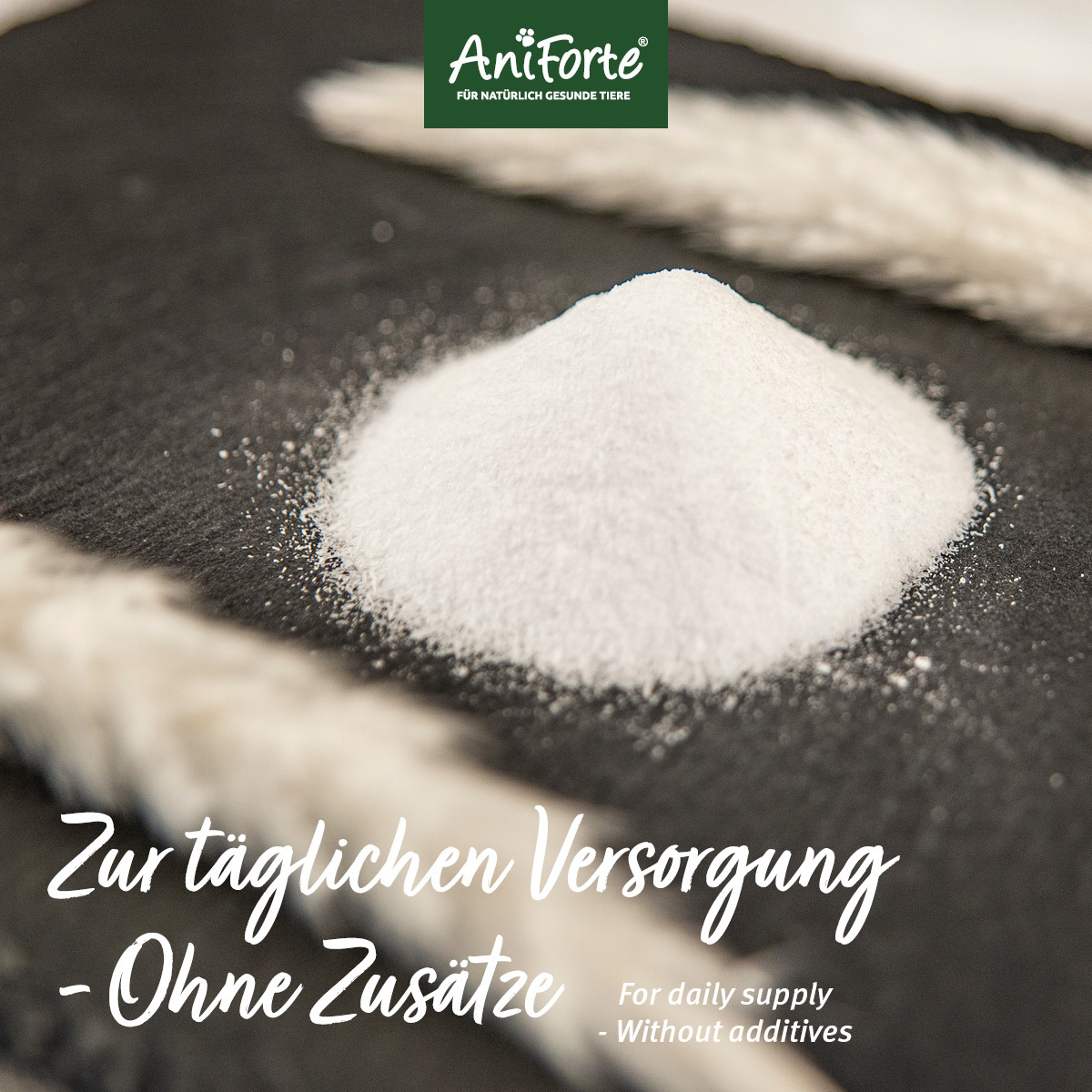 Aniforte Ergänzungsfutter & Aufzucht Aniforte Taurin 100g