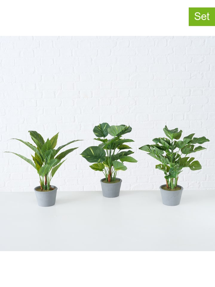 Boltze 3er-Set: Dekopflanzen in Grün - (H)35 x Ø 25 cm günstig kaufen onesize