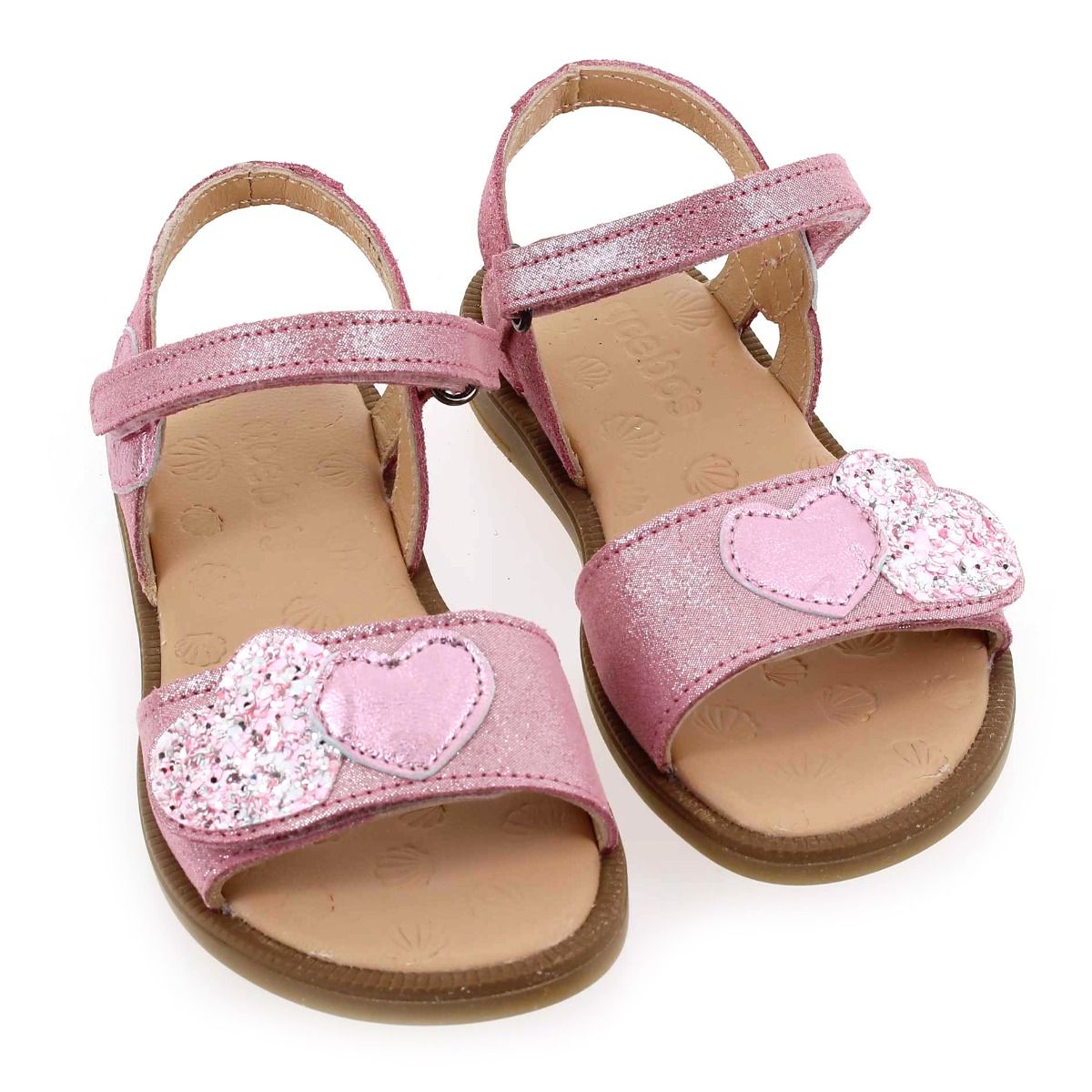Acebos  5500 - Rose