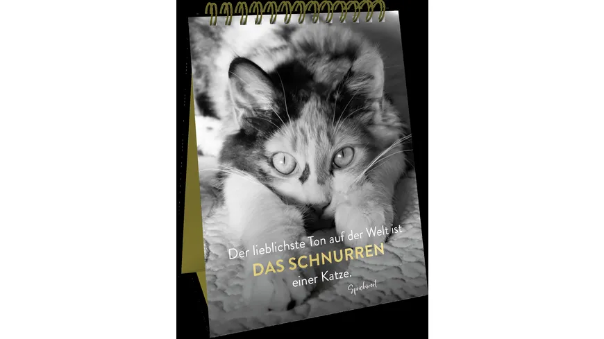 Spiralaufsteller Goldene Katzenweisheiten - Edles Geschenk mit ästhetischen Schwarz-weiß-Fotografien und Katzenweisheiten