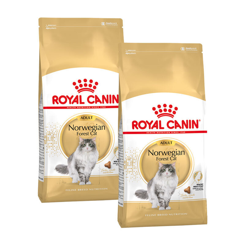 ROYAL CANIN Trockenfutter ROYAL CANIN Norwegian Forest Adult 2x10 kg