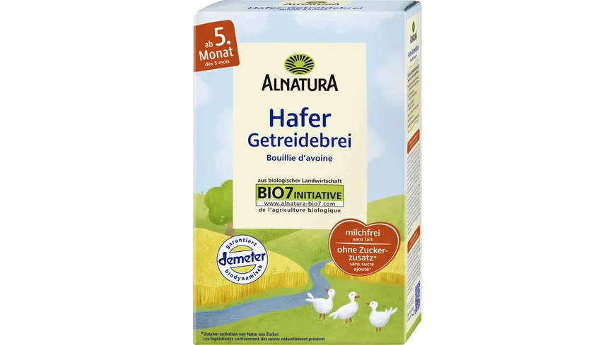 Alnatura Bio Hafer Getreidebrei 250 g