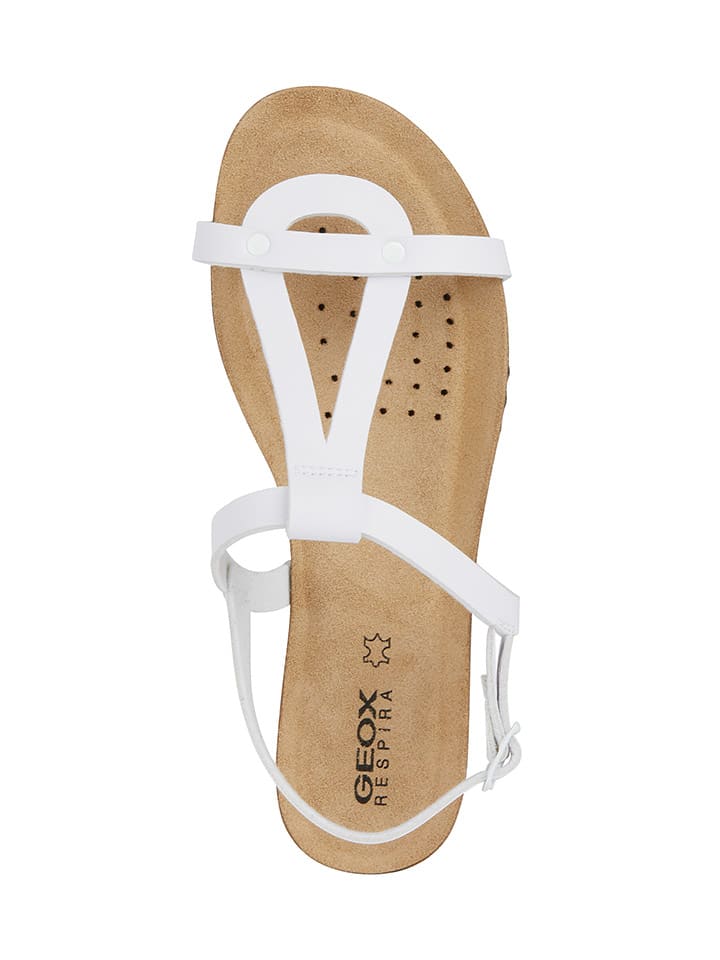 Geox Sandalen 