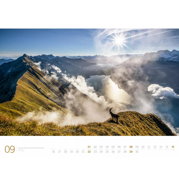 ALPEN - ACKERMANN GALLERY KALENDER 2024 - Kalender