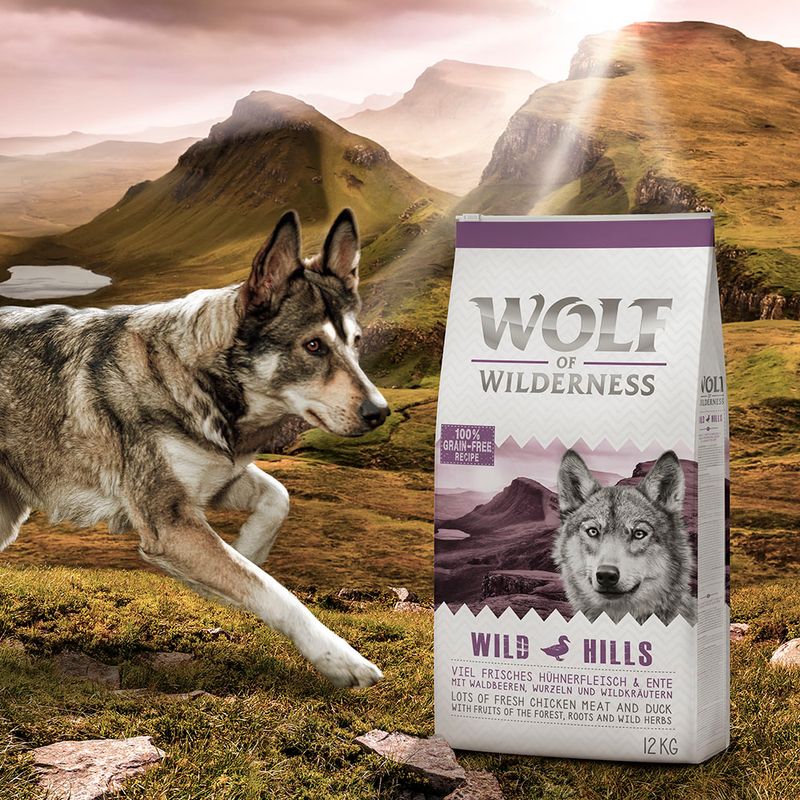 Probierpaket Wolf of Wilderness Trockenfutter