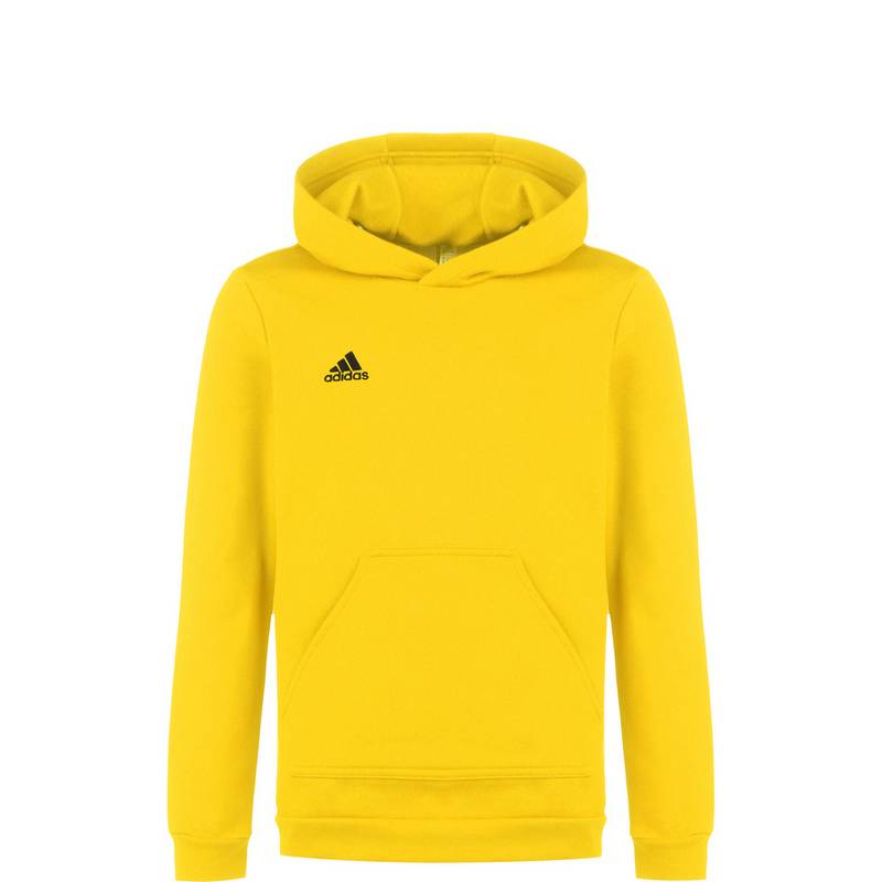 adidas Entrada 22 Hoodie Jungen