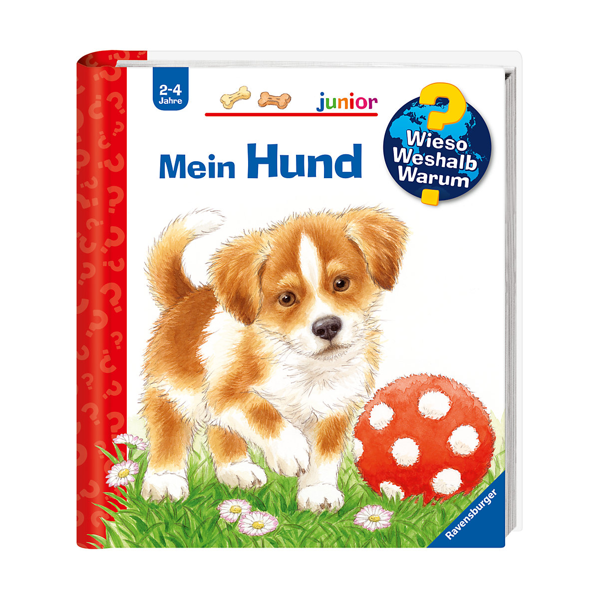 WWW junior Mein Hund
