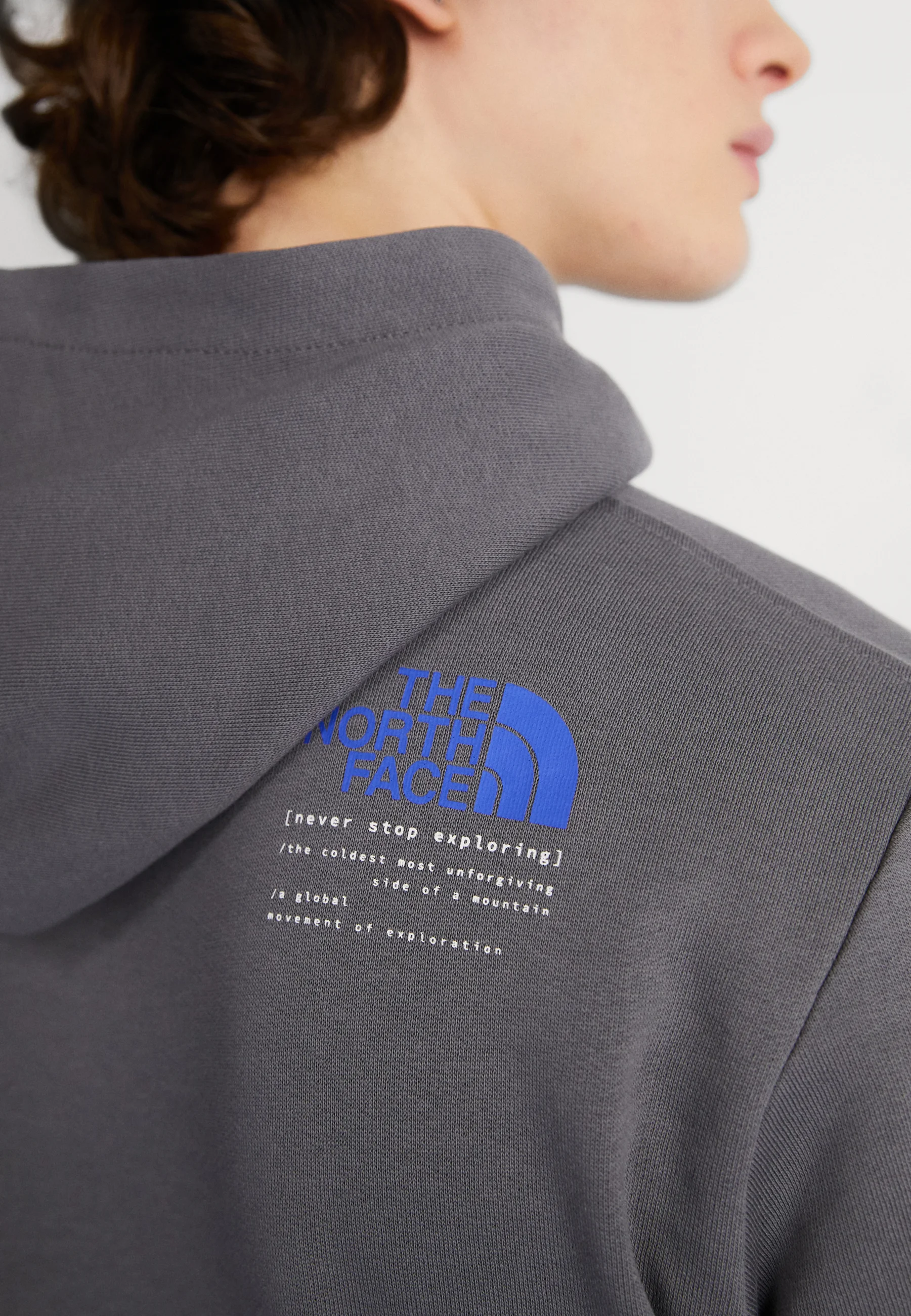 The North Face GRAPHIC - Sudadera