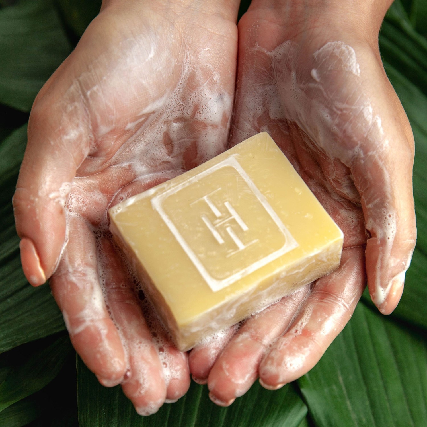 Hydrotera Sensitive