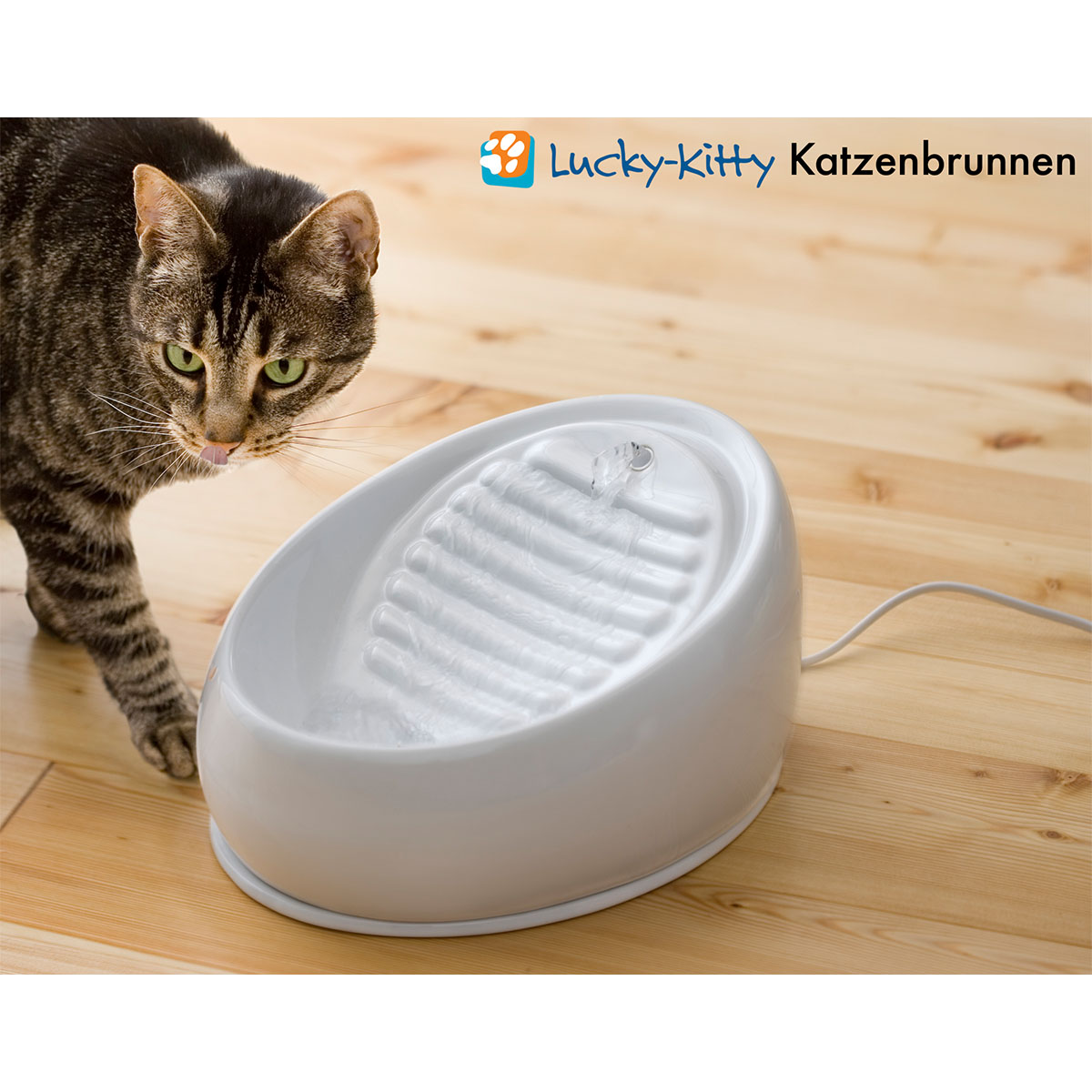 Lucky-Kitty Katzenbrunnen aus Keramik günstig kaufen