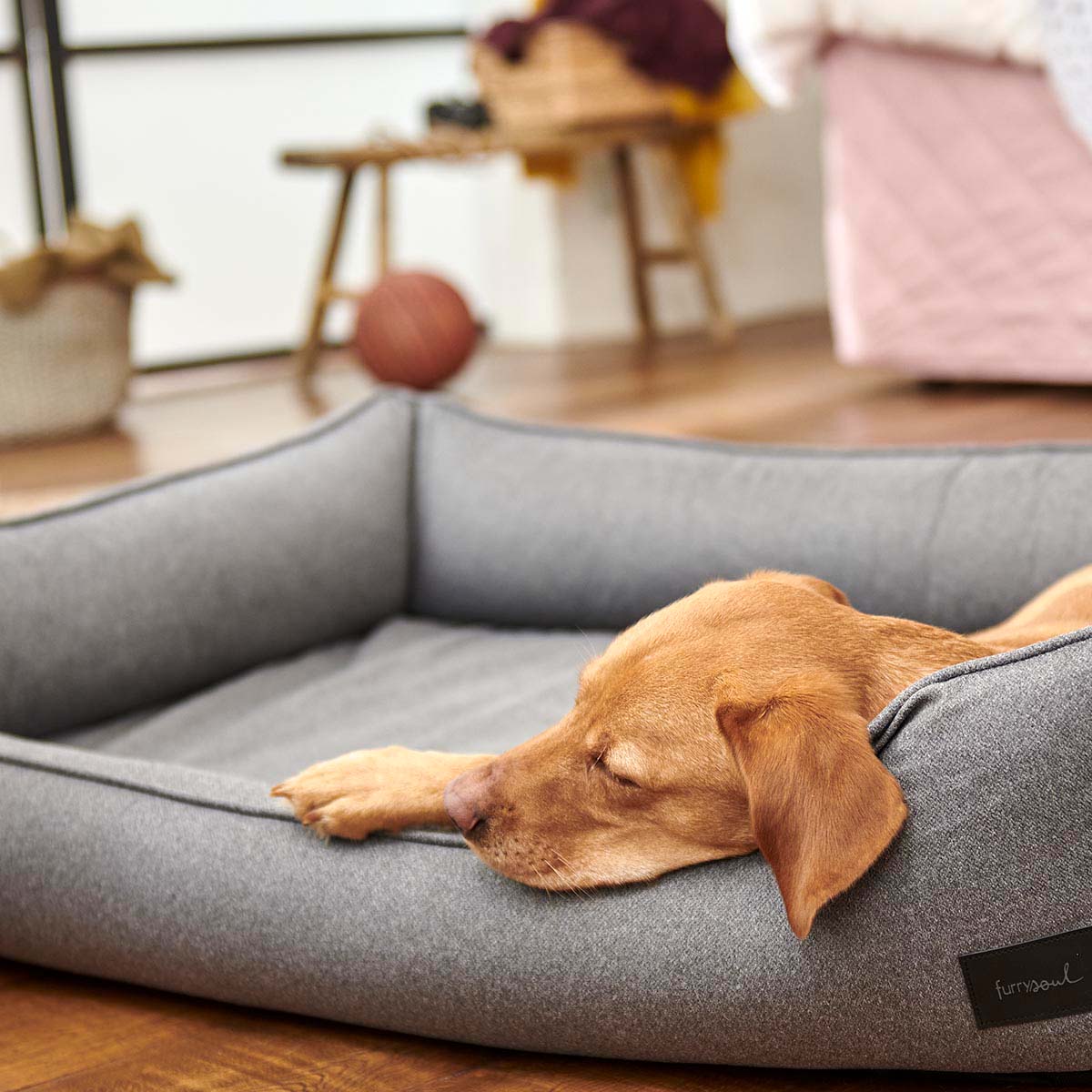 furrysoul orthopädisches Hundebett Lian grau kaufen bei ZooRoyal