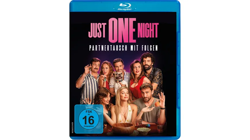 Just One Night - Partnertausch mit Folgen