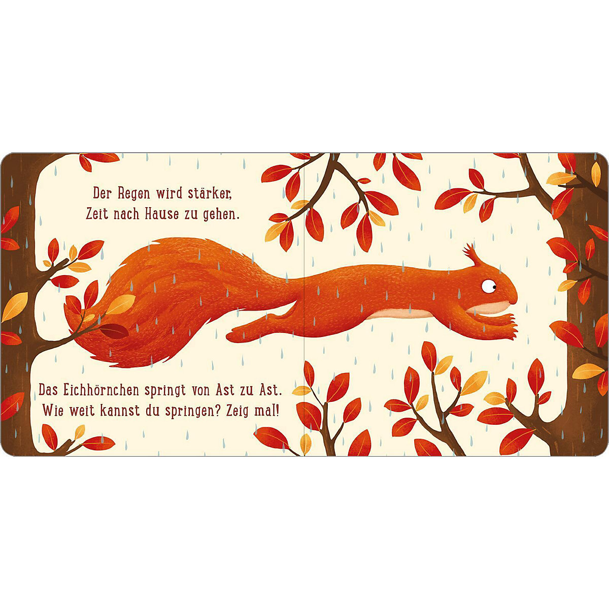 Ein Tag im Wald: Eichhörnchen