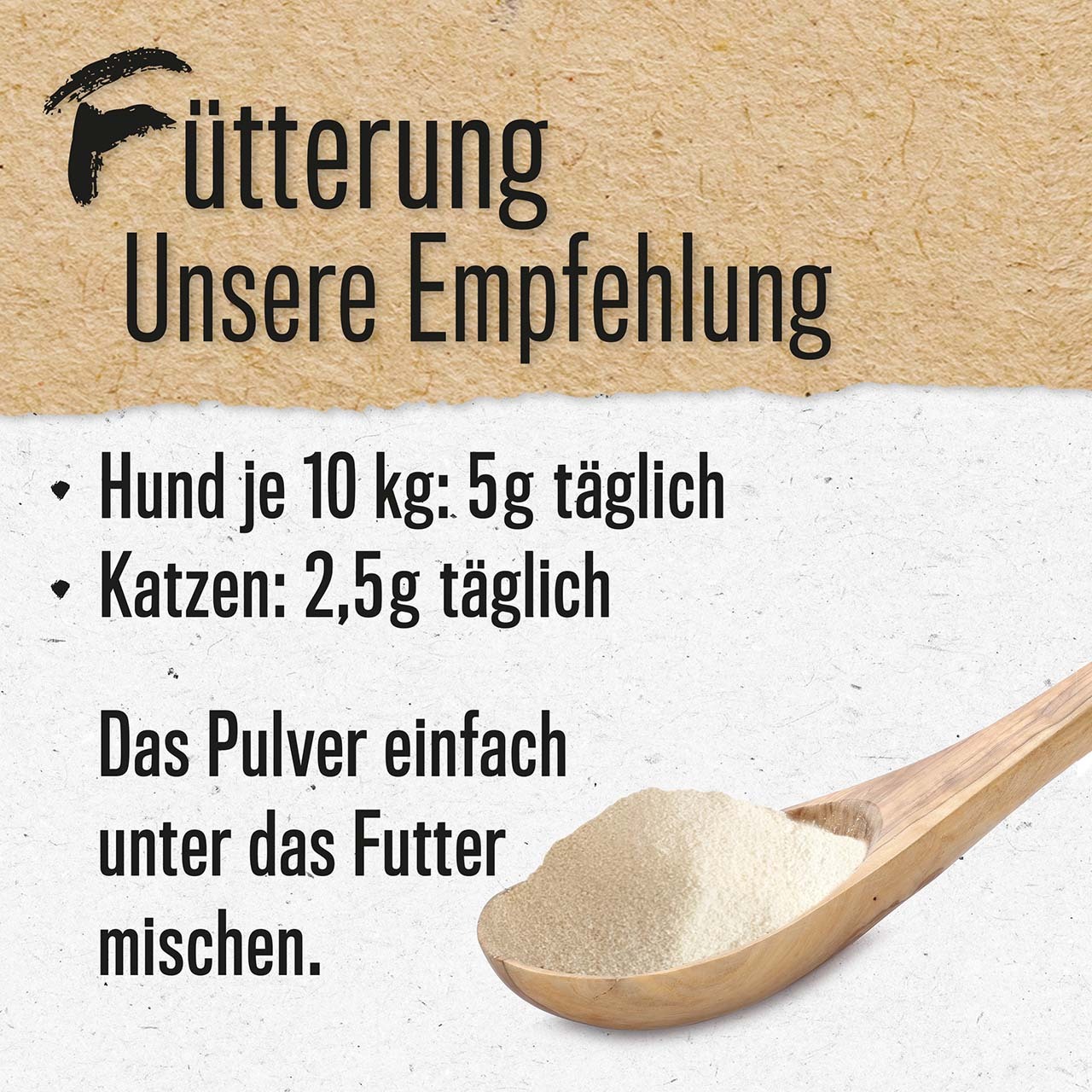 ALPHAZOO Ergänzungsfutter & Aufzucht ALPHAZOO Marine Kollagen-Pulver für Hunde und Katzen 100 g