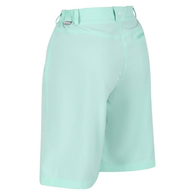 Regatta Xert It Shorts Damen