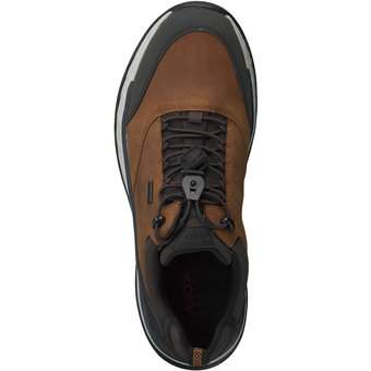 Geox Sneaker in braun