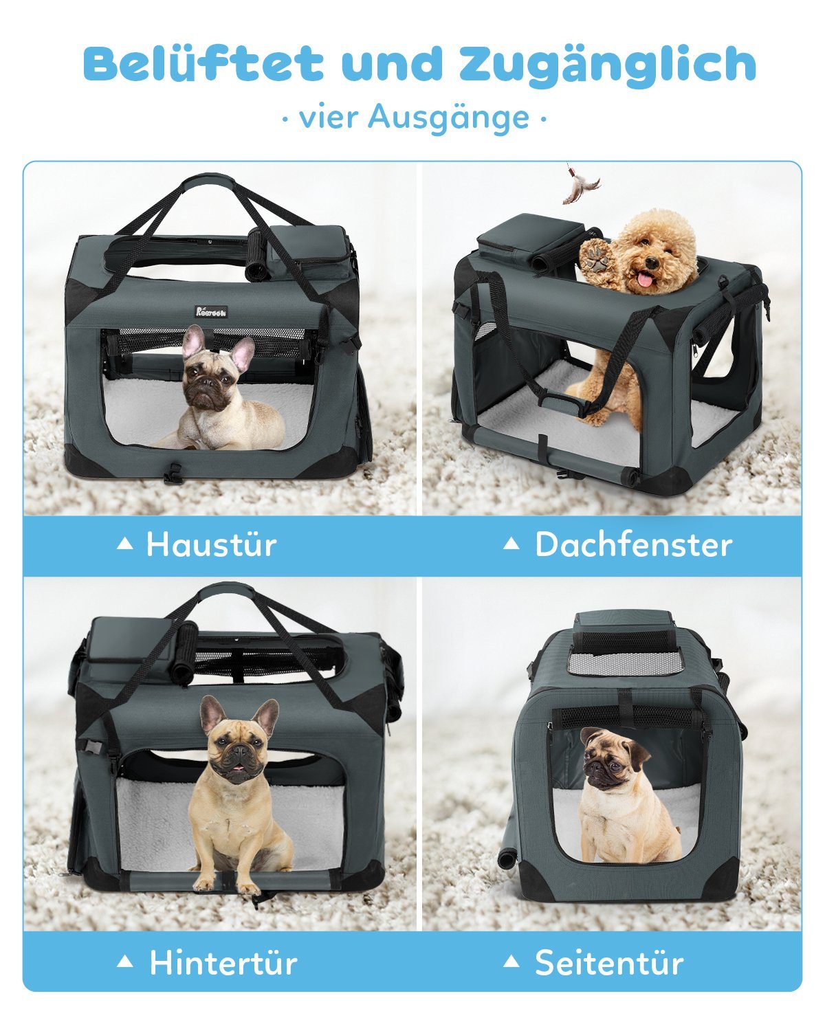 Reerooh Hunde-Transportbox Tiertransportbox Faltbar Hundebox Katzentasche Transportbox Hundenapf