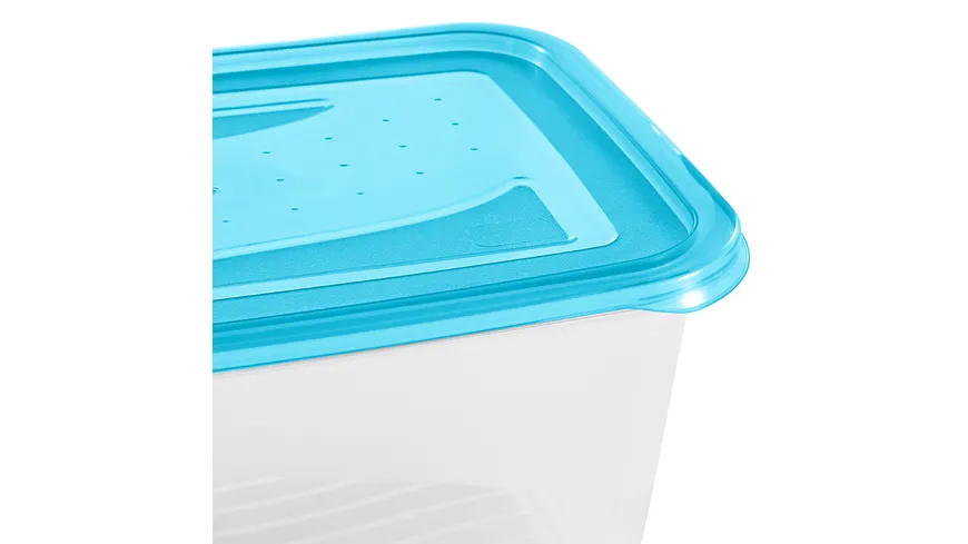 keeeper Frischhaltedosen Set Fredo Fresh 2-tlg. 2l fresh-blue transparent