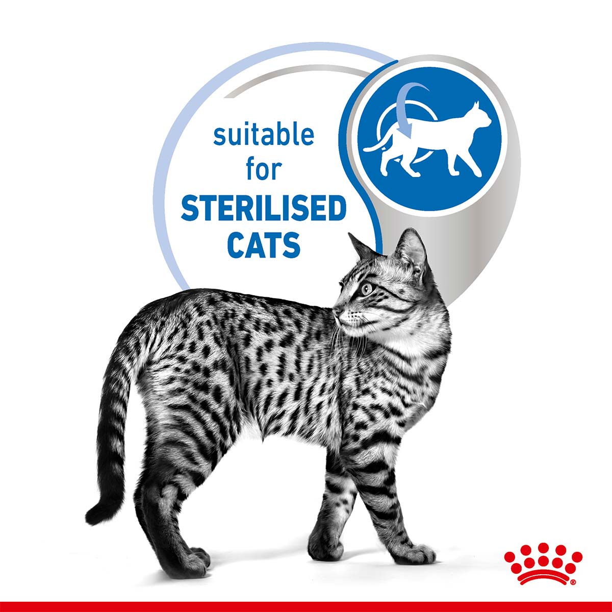 ROYAL CANIN INDOOR Sterilised in Soße Nassfutter für Wohnungskatzen