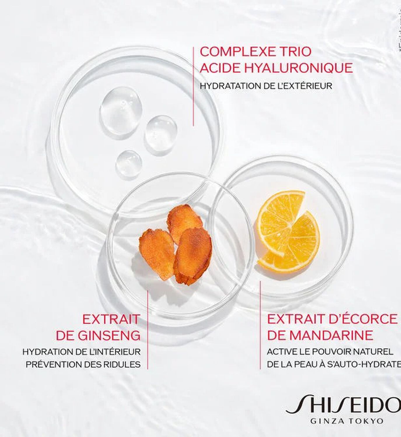 Shiseido Essential Energy Crème Activatrice d'Hydratation 24H