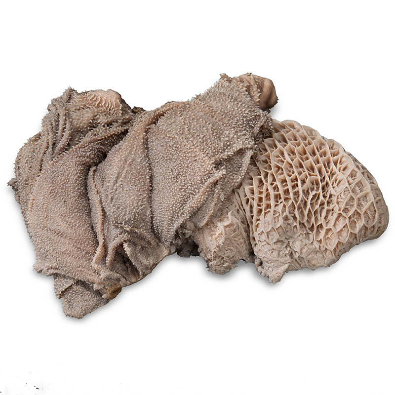 ProCani BARF/ Frostfutter ProCani buy nature Blättermagen / Pansen grün 32x500 g