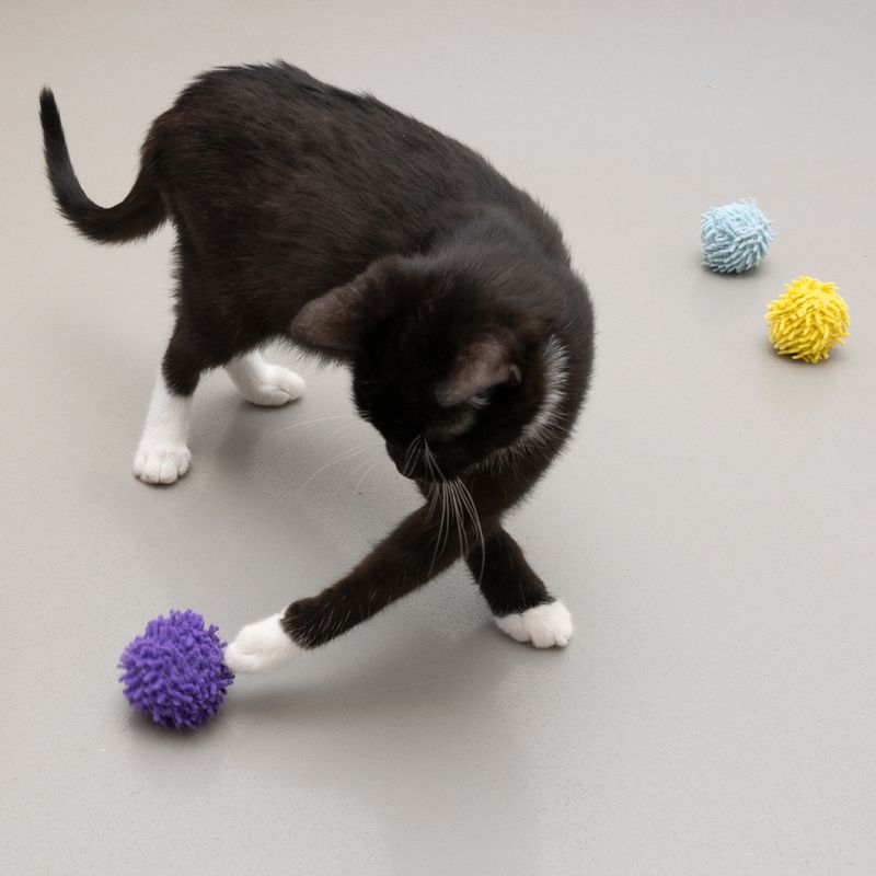 TIAKI Pompon Ball-Set mit Katzenminze zu TOP-Preisen
