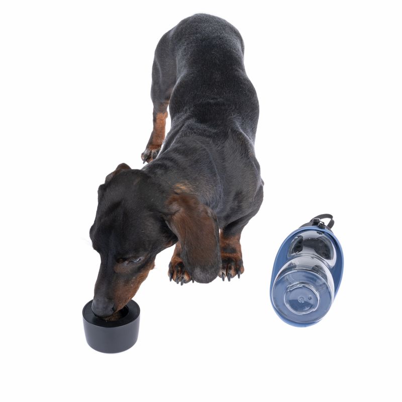 Nomad Tales Spirit 2-in-1-Reiseflasche zu TOP-Preisen | bitiba.de