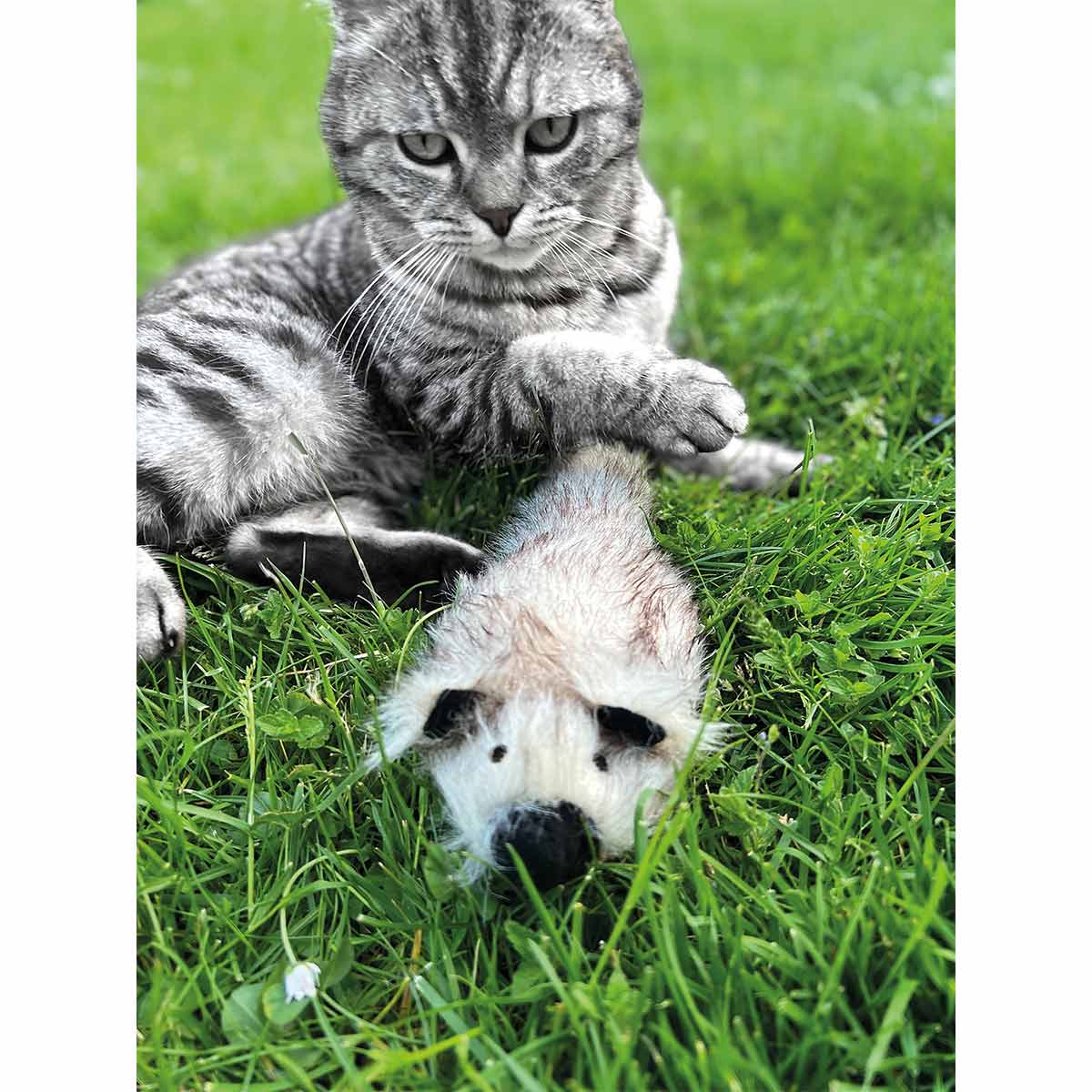 Aumüller Katzenspielkissen Zappel - Frettchen Speedy