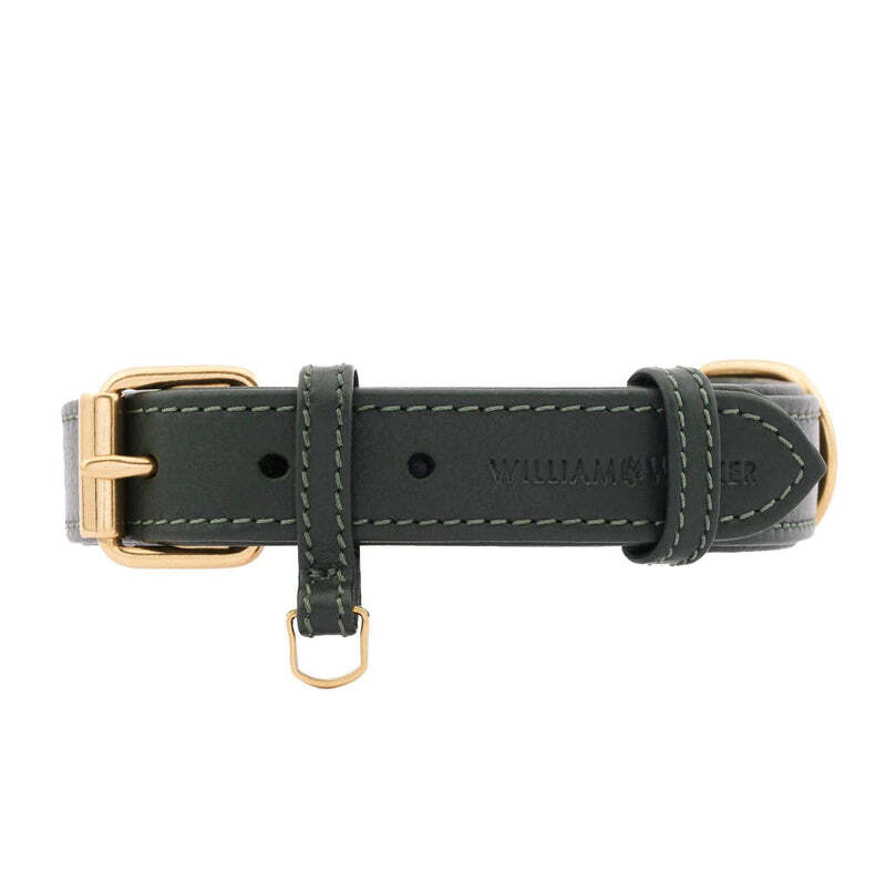 William Walker Hundehalsbänder William Walker Hundehalsband Plain Dark Moss M