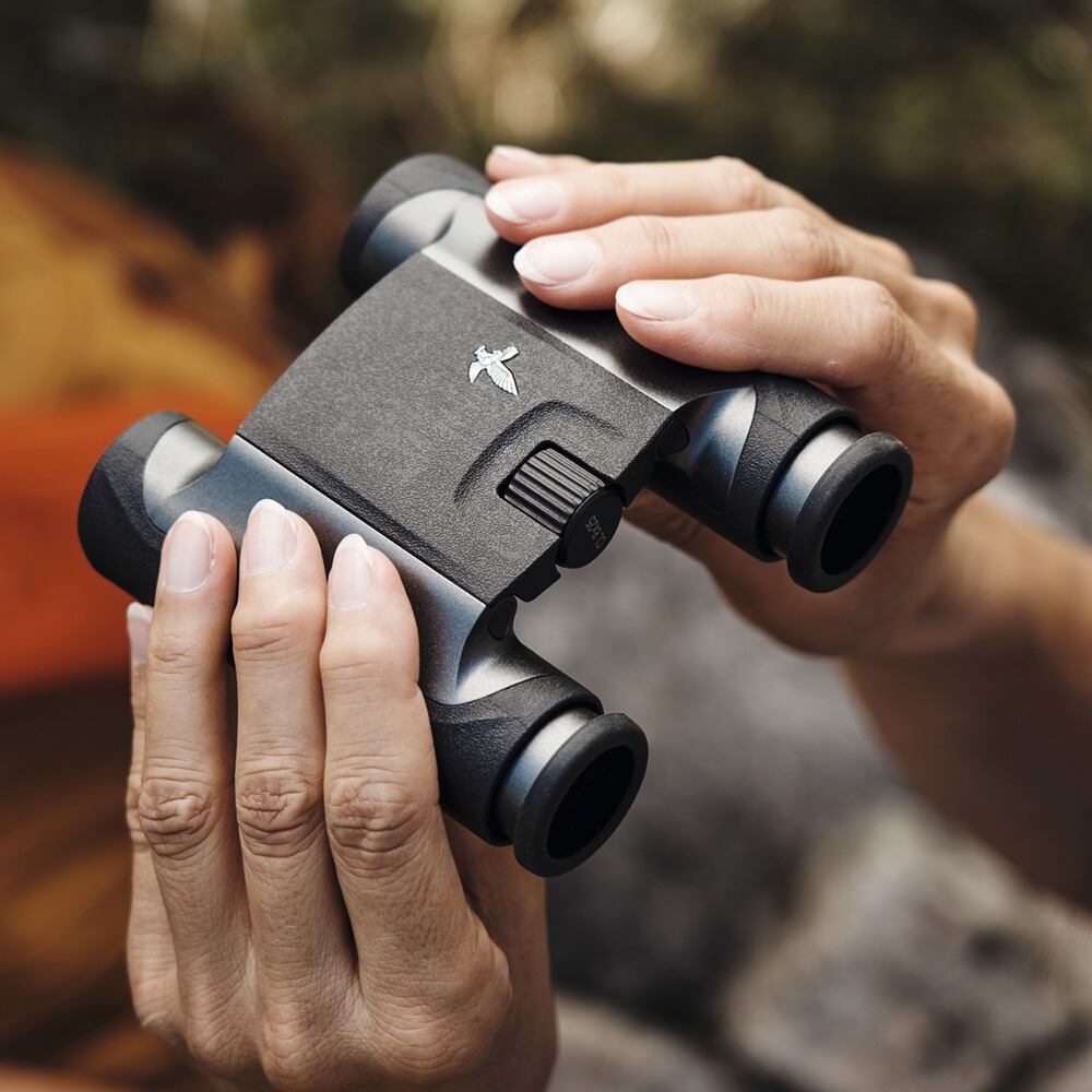 Swarovski Optik Fernglas CL Pocket 8x25 mit Zubeh&ouml;rpaket