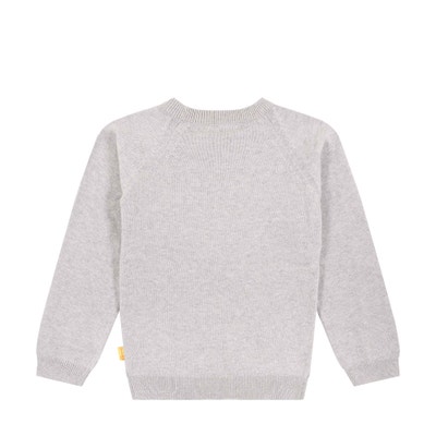 Pullover, hellgrau für Jungs