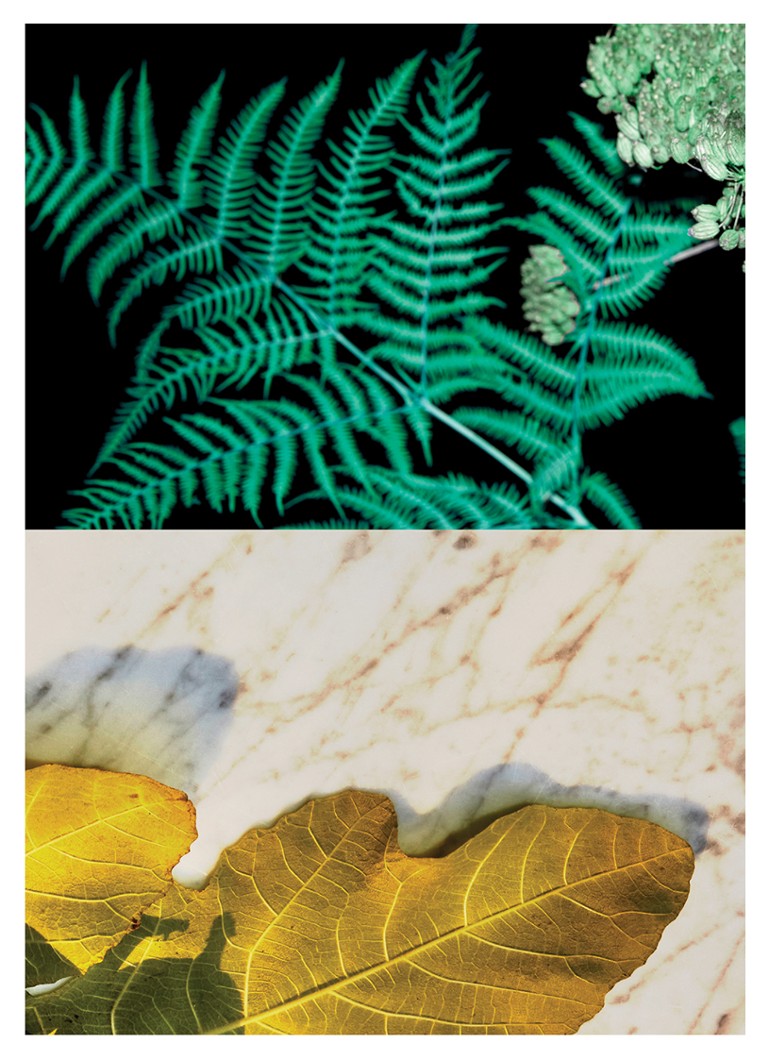 Dries Van Noten  Santal Greenery Eau de Parfum Refill - navulling